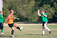Crush Fall Game 2