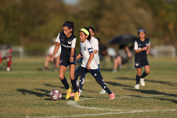 20241027StingG14G8Win-7019