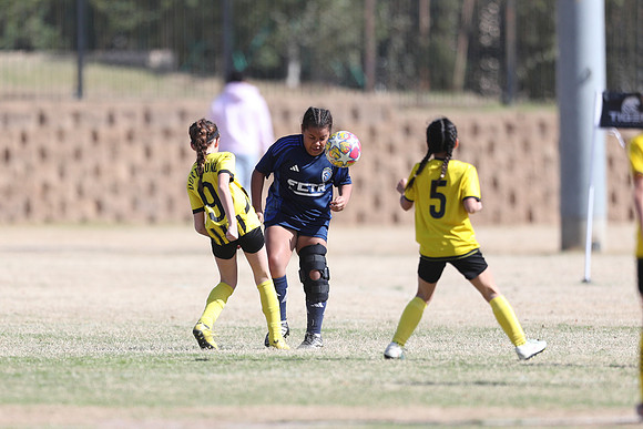 20250315StingAustingG14TigerCupG1-20654