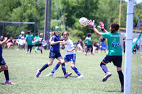 TC Spring 2025