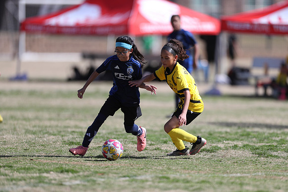 20250315StingAustingG14TigerCupG1-20720