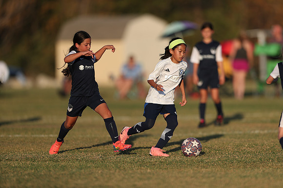 20241027StingG14G8Win-7279