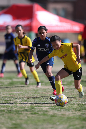 20250315StingAustingG14TigerCupG1-20773
