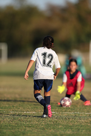 20241027StingG14G8Win-7109