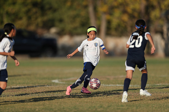 20241027StingG14G8Win-6658