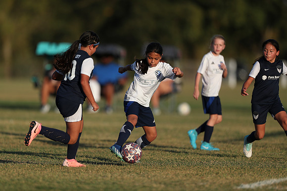 20241027StingG14G8Win-6819