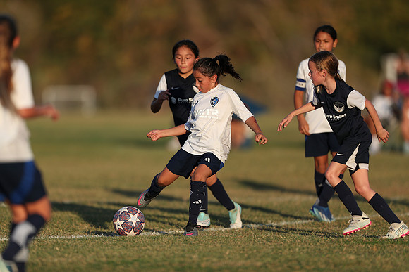 20241027StingG14G8Win-7394