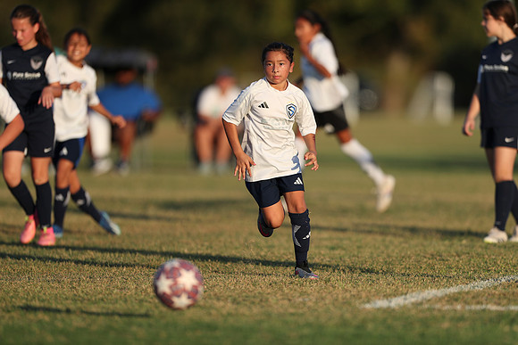 20241027StingG14G8Win-7373