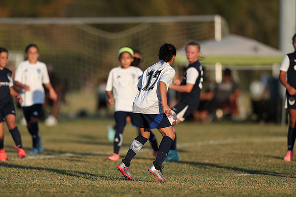20241027StingG14G8Win-7315
