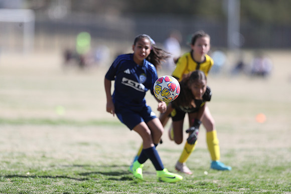 20250315StingAustingG14TigerCupG1-20694