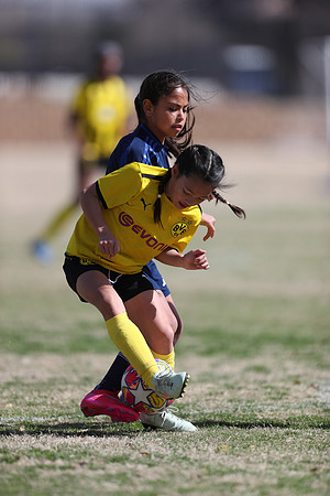 20250315StingAustingG14TigerCupG1-20842