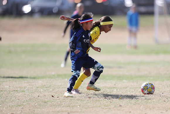 20250315StingAustingG14TigerCupG1-20550