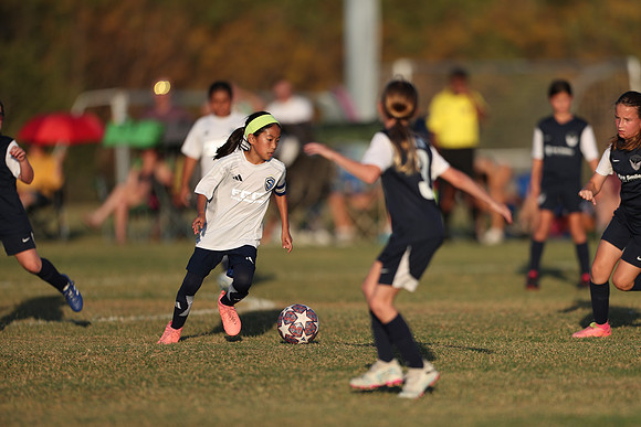 20241027StingG14G8Win-7203