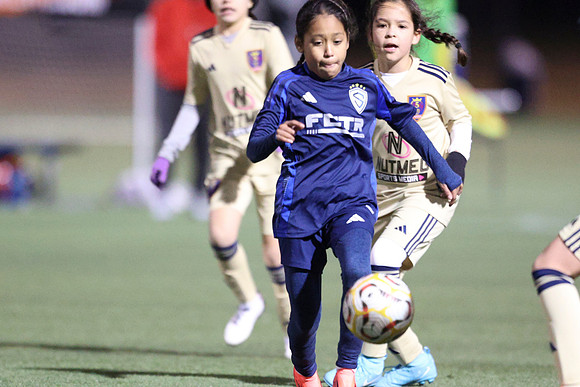 20250118StingG14RRTourG2-3060