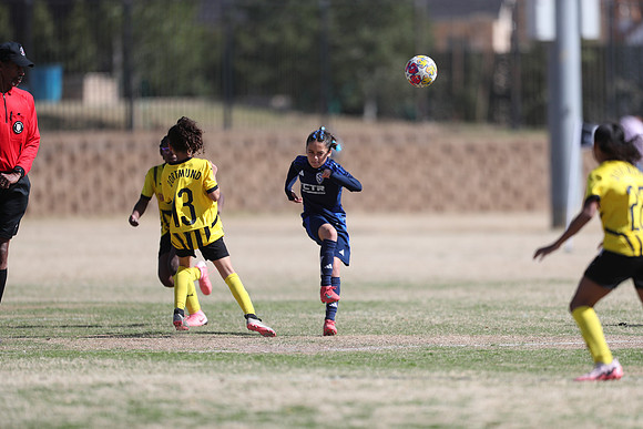 20250315StingAustingG14TigerCupG1-20661