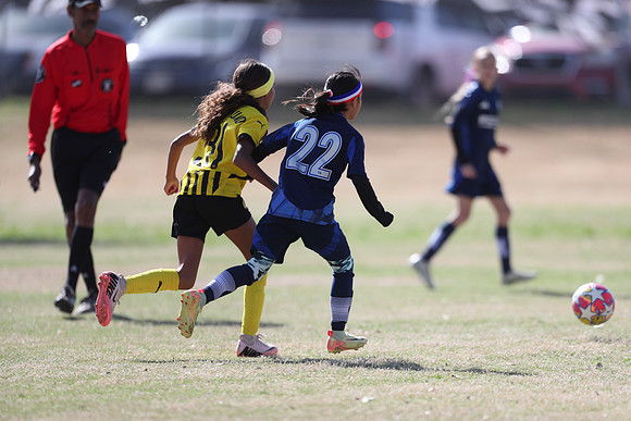 20250315StingAustingG14TigerCupG1-20540