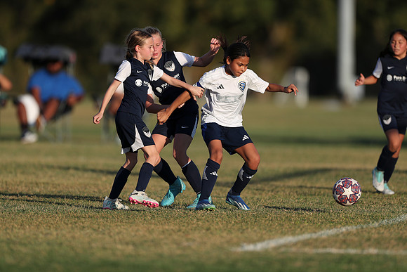 20241027StingG14G8Win-6773