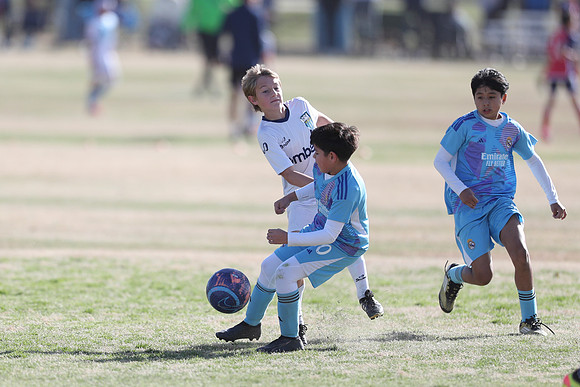 20250315StingAustingG14TigerCupG1-20134