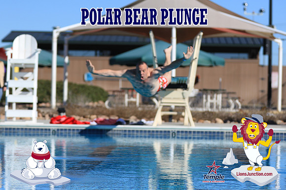 20190105PolarBearA-3933