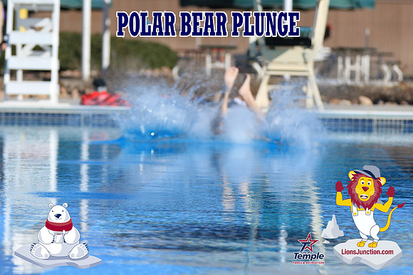 20190105PolarBearA-3935