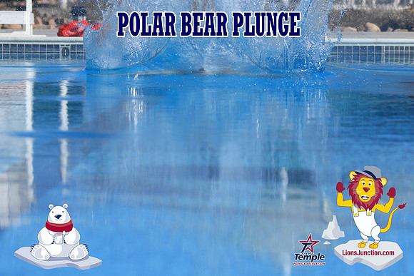 20190105PolarBearA-3937