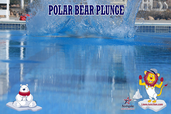 20190105PolarBearA-3938