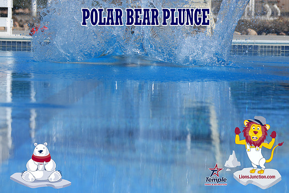 20190105PolarBearA-3939