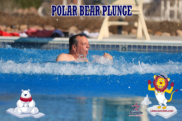 20190105PolarBearA-3943