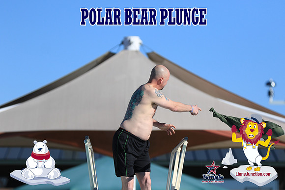20190105PolarBearA-3953