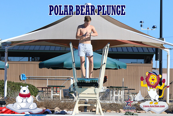 20190105PolarBearA-3972