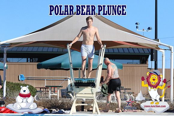 20190105PolarBearA-3973