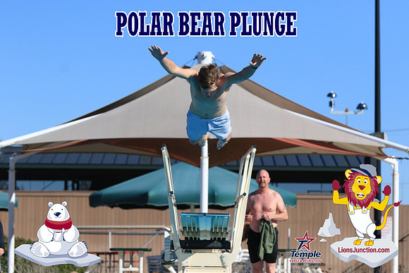 20190105PolarBearA-3978