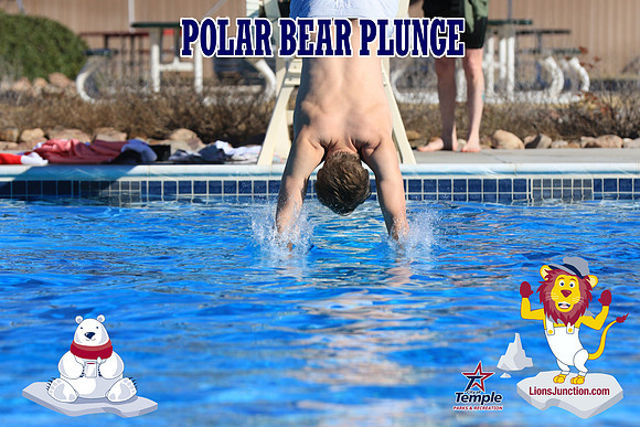 20190105PolarBearA-3984