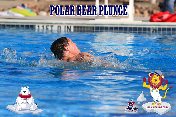 20190105PolarBearA-3985