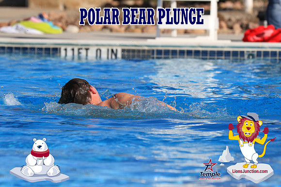 20190105PolarBearA-3986