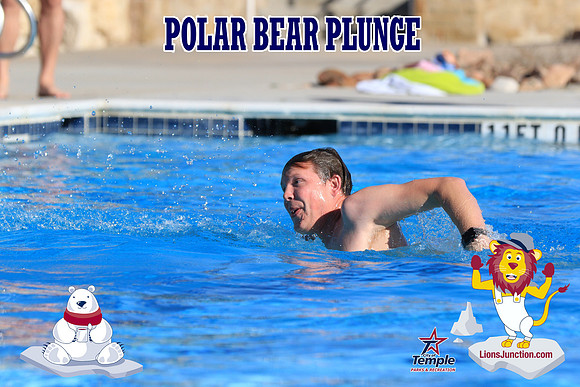 20190105PolarBearA-3987
