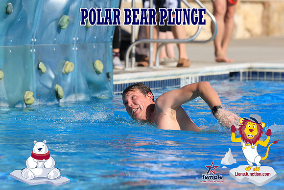 20190105PolarBearA-3989