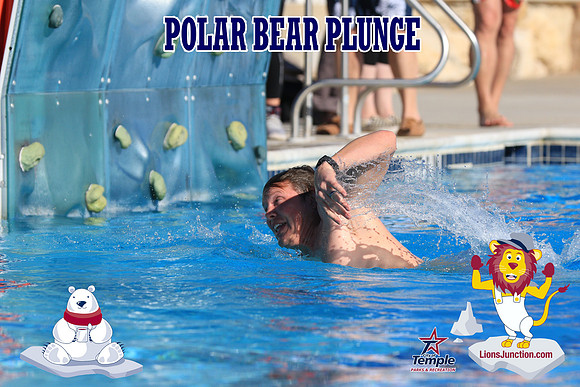 20190105PolarBearA-3990