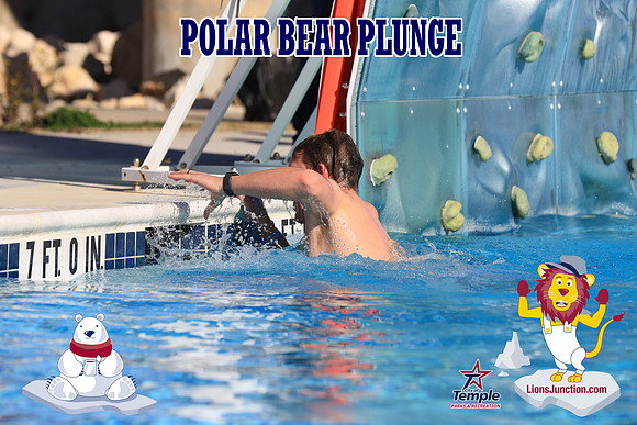 20190105PolarBearA-3992