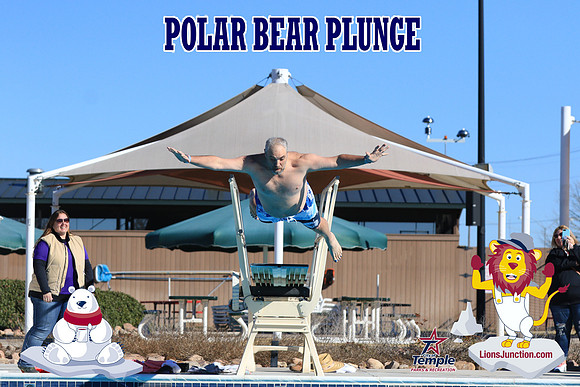 20190105PolarBearA-4005