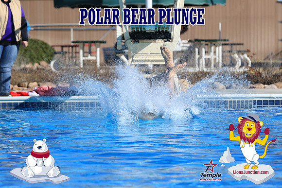 20190105PolarBearA-4009