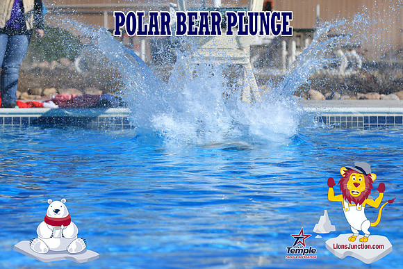 20190105PolarBearA-4010