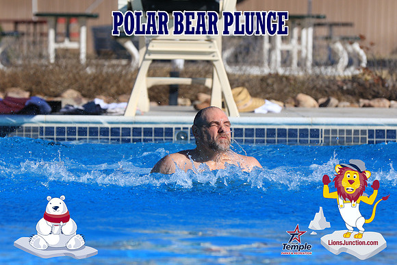 20190105PolarBearA-4012