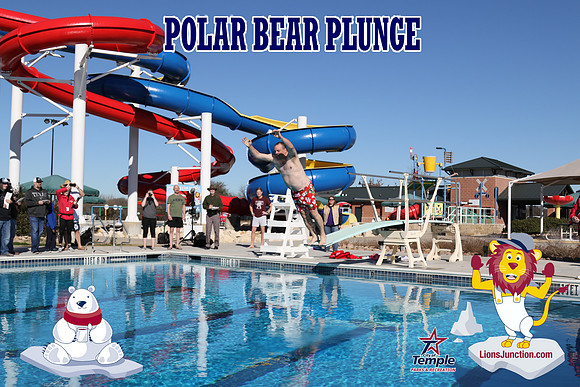 20190105PolarBearD-6499