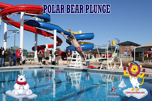 20190105PolarBearD-6500