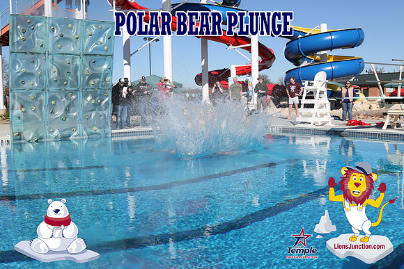 20190105PolarBearD-6510