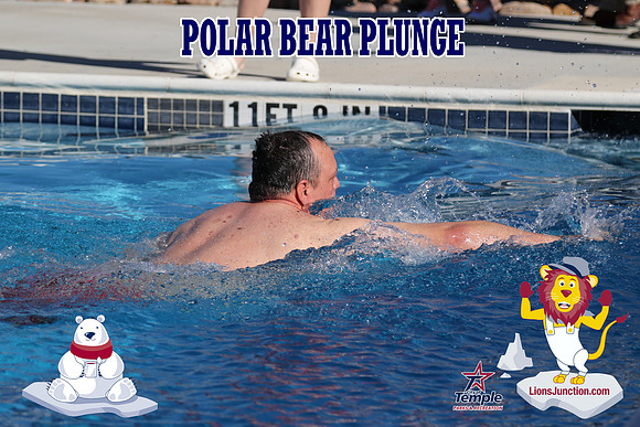 20190105PolarBearD-6513