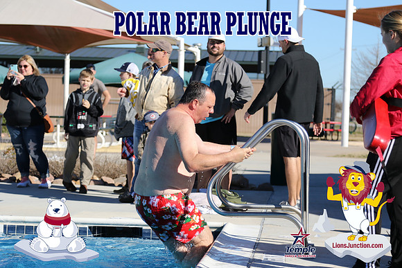20190105PolarBearD-6516