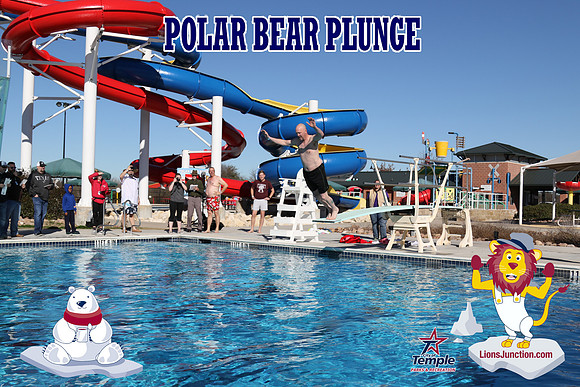 20190105PolarBearD-6525