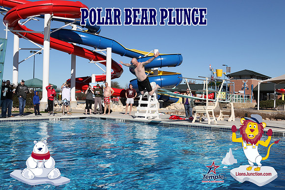 20190105PolarBearD-6527